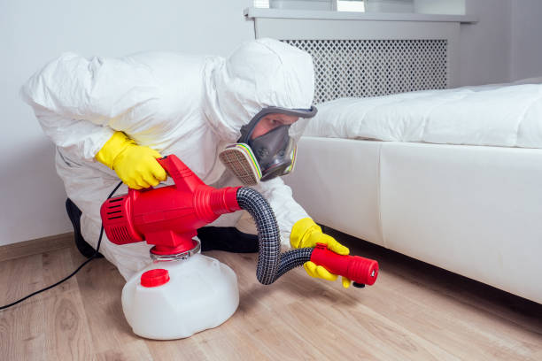 Best Cockroach Control Services  in Magnolia, NJ