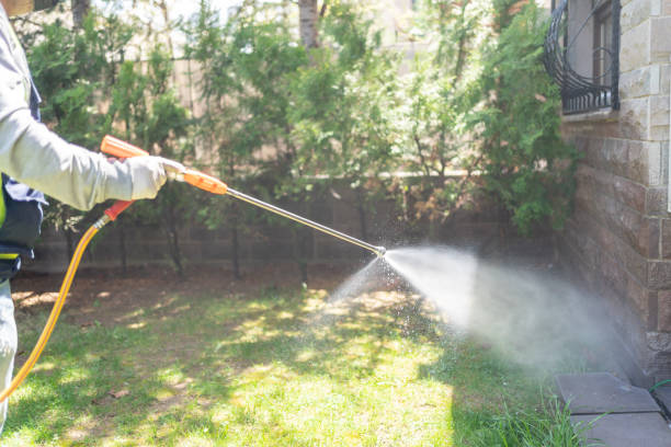 Best Emergency Pest Control  in Magnolia, NJ