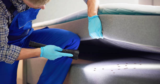 Best Flea Control Services  in Magnolia, NJ