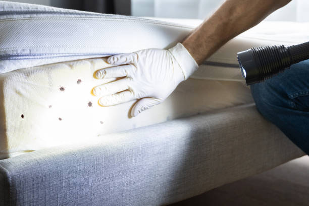 Best Commercial Pest Control Services  in Magnolia, NJ