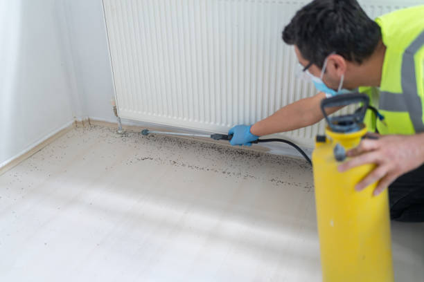 Best Local Pest Control Services  in Magnolia, NJ